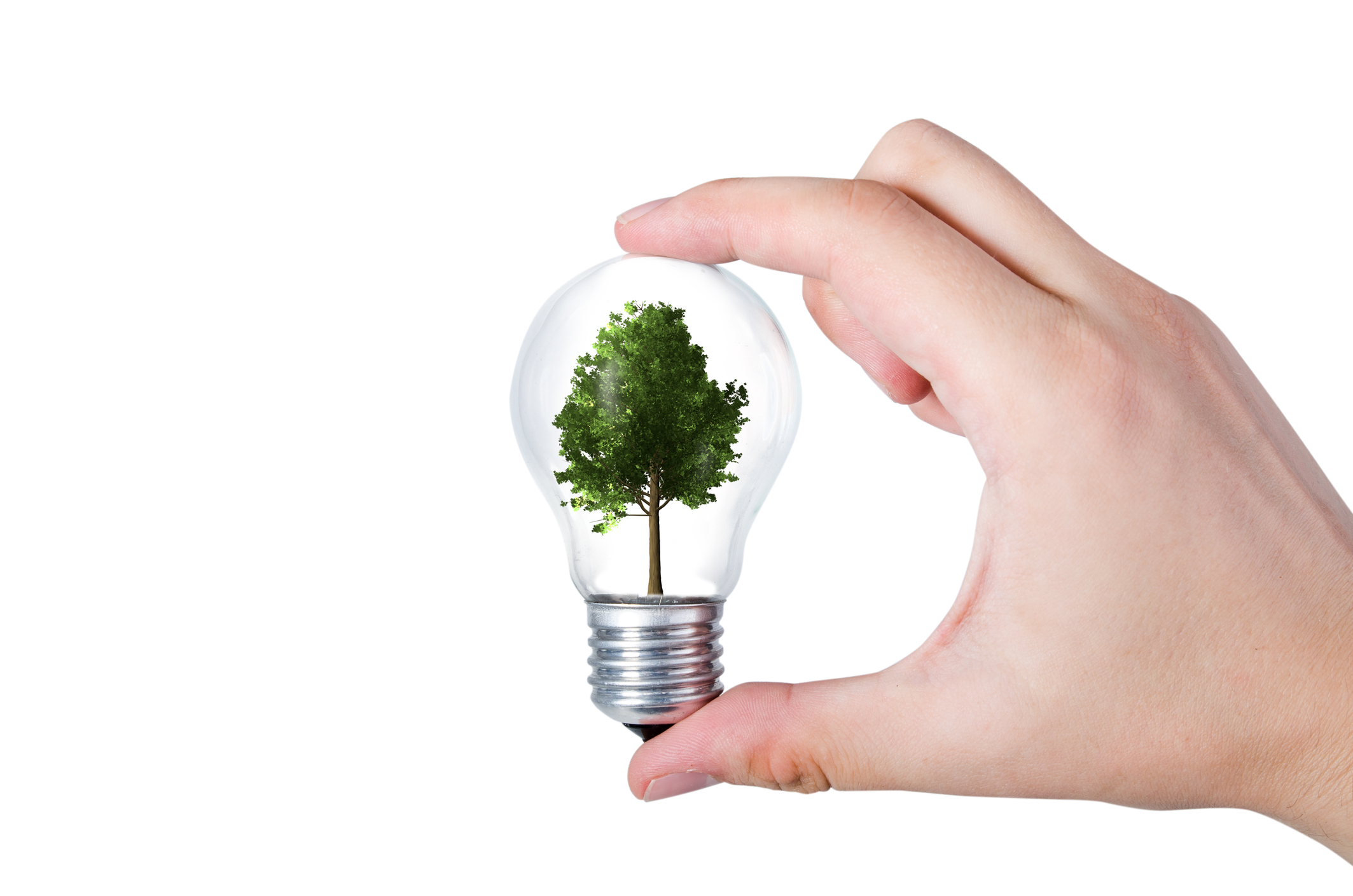 Remodeling Items That Will Help Improve Energy Efficiency